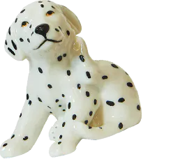 dalmation
